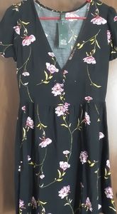 Wild Fable Minidress